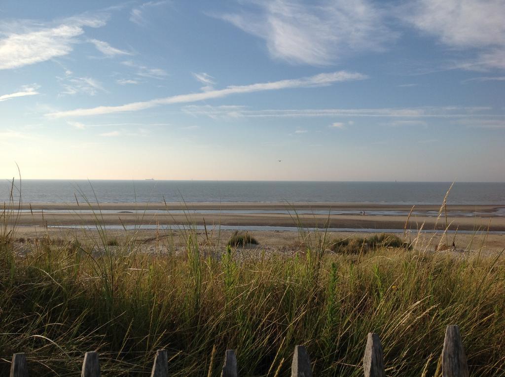 Bed and Breakfast Kokkelikoo Blankenberge Exterior foto
